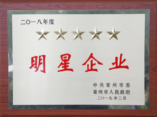 常寶股份榮獲“工業(yè)五星級(jí)企業(yè)”、“納稅金獎(jiǎng)”等多項(xiàng)大獎(jiǎng)156.png